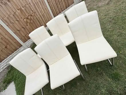 Photo of free 6 Dining Chairs (Rotherham S62) #3