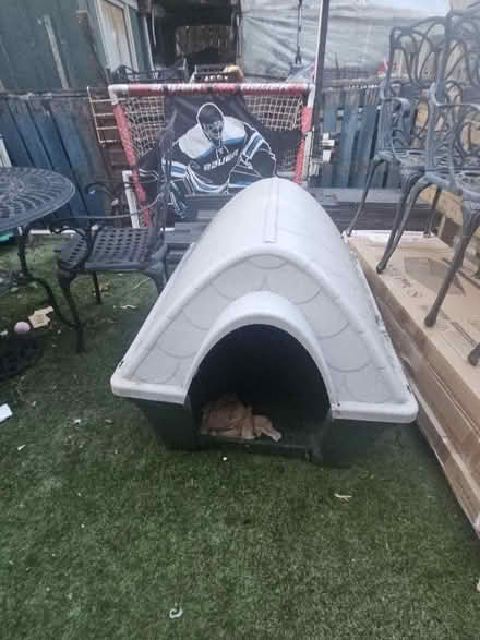 Photo of free Dog kennel (Shiremoor NE27) #2