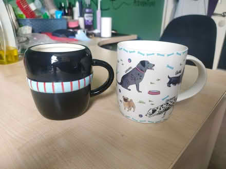 Photo of free Animal mugs (Milton PO4) #2
