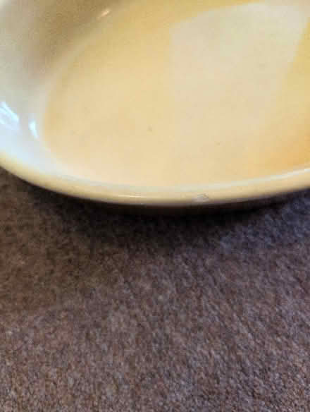 Photo of free Huge vintage oval earthenware dish (Eastcote HA5) #2
