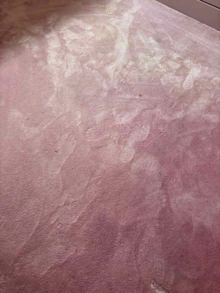 Photo of free Pink bedroom carpet (Brownswood, MK7) #2