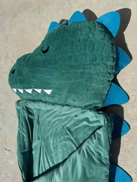 Photo of free Dinosaur sleeping bag (Imperial and Placentia) #3