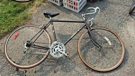 Photo of free Adult bicycle (Westboro, 262 Duncairn Ave.) #1