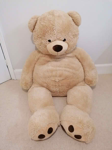 Photo of free Massive Teddy Bear (South Tonbridge TN9) #1
