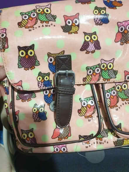 Photo of free Pink owl satchel (Parkstone, Poole, BH14) #4