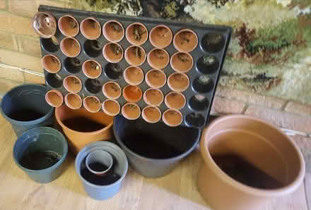 Photo of free Plant pots (Frimley Green GU16) #1