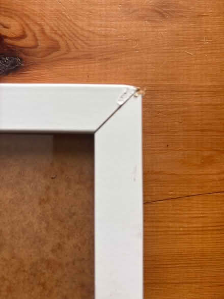 Photo of free White picture frame (Bear flat) #3