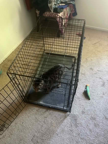 Photo of free animal crate (Rohnert park) #1