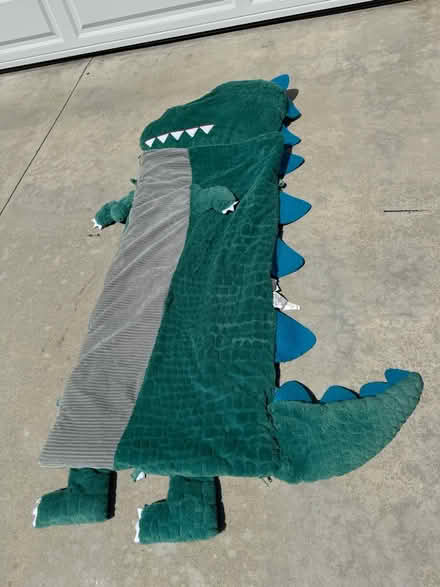 Photo of free Dinosaur sleeping bag (Imperial and Placentia) #1