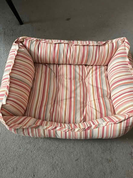 Photo of free Dog/ Cat bed (CT14) #1