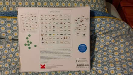 Photo of free Bug Bingo game (Weston) #2