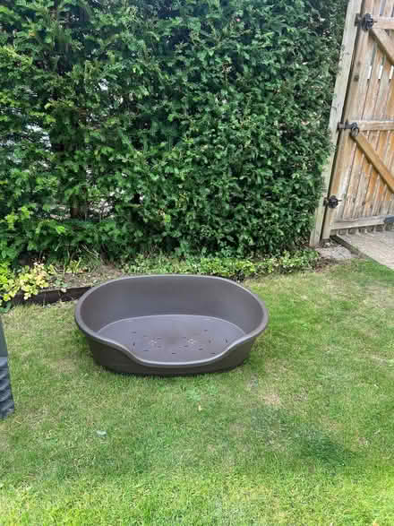 Photo of free Plastic dog bed (Cleobury Mortimer DY14) #1