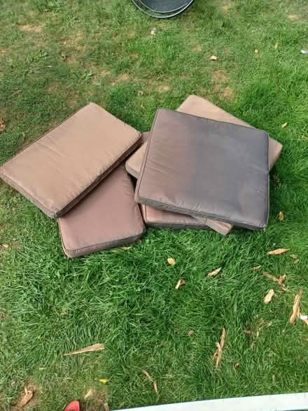 Photo of free Garden cushions x 5 (New addington) #1