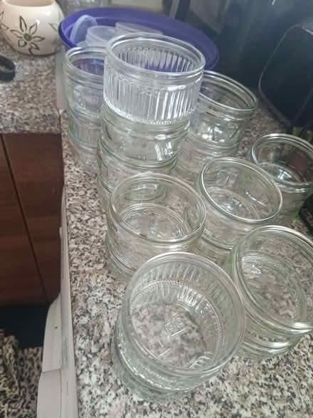 Photo of free 20 Gu dish and lids (Boswall EH5) #2