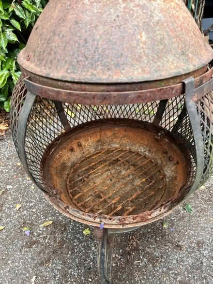 Photo of free Chimera (MK15 Willen) #2