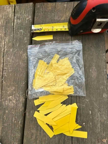 Photo of free plant markers (Comeytrowe TA1) #1