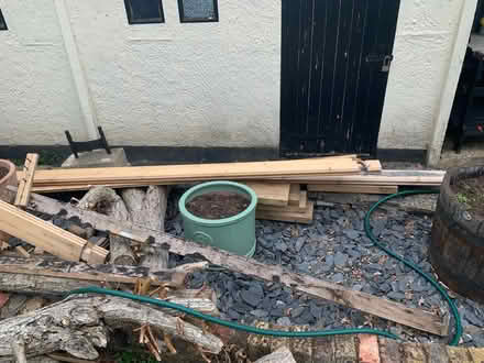 Photo of free Logs (Chingford London E4) #3