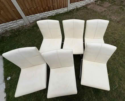 Photo of free 6 Dining Chairs (Rotherham S62) #1