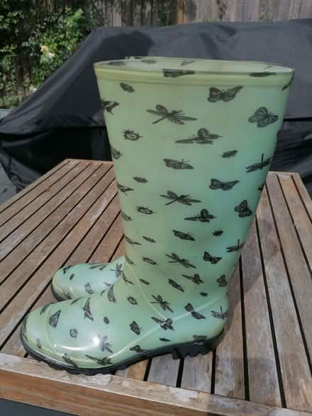 Photo of free Size 6 Wellies (South Tonbridge TN9) #2