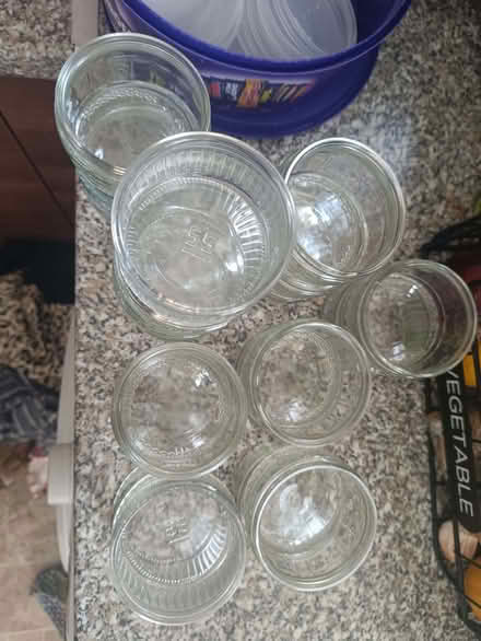 Photo of free 20 Gu dish and lids (Boswall EH5) #3
