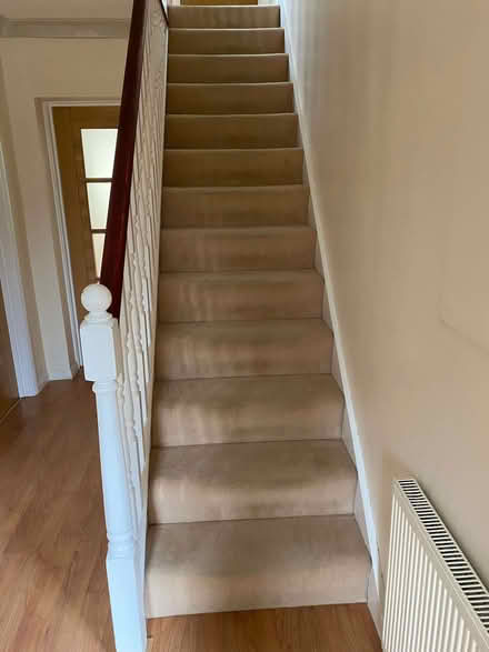 Photo of free Beige Carpet Wool (King's College Playing Fields HA4) #3