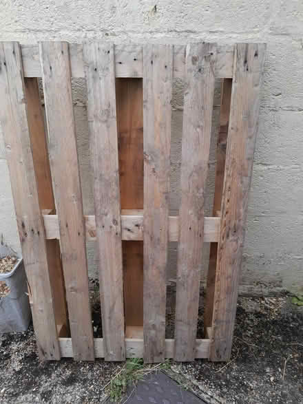 Photo of free wooden pallet (Southampton, SO15) #1