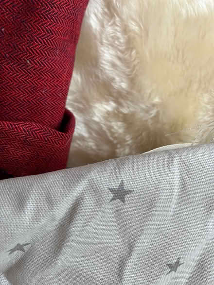 Photo of free Large fabric remnants (Axminster EX13) #1