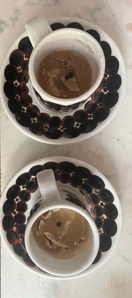 Photo of free Finnish espresso cups and saucers (Bletchley MK2) #1