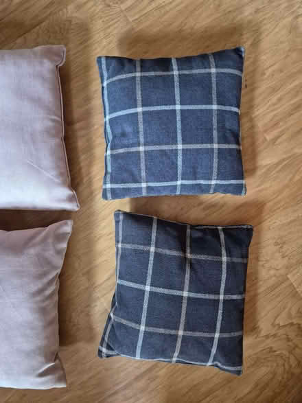 Photo of free Two cushions approximately 38 x 38 cm blue with grey lines (Purley on Thames RG8) #1