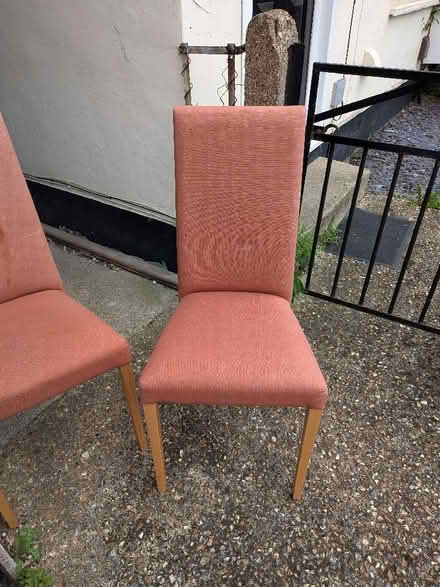 Photo of free Dining room chairs (Burnham SL1) #1