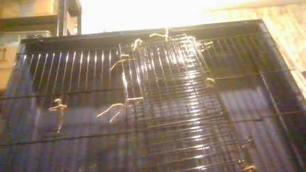Photo of free Rabbit/pig cage and accessories (BA2) #3