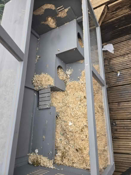 Photo of free Rodent house (Ongar CM5) #2