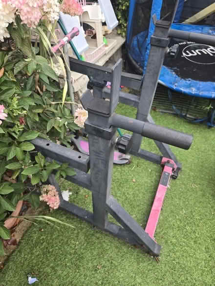 Photo of free Body max (Ongar CM5) #2