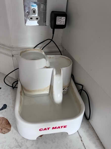 Photo of free Cat Mate Cat Fountain (Tooting SW17 9TD) #1