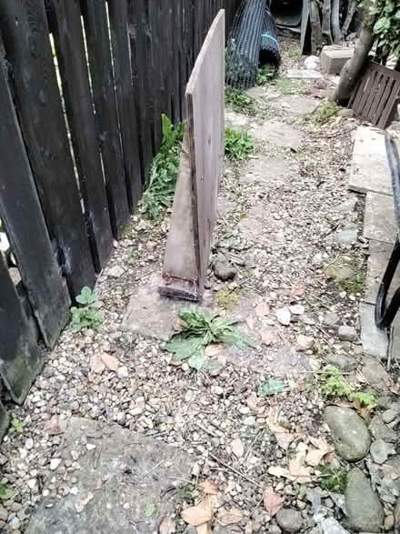 Photo of free Marine ply? (Penrith CA11) #1