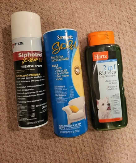 Photo of free Dog supplies (Hill East) #2