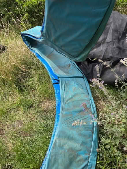 Photo of free Net and bumper (only) from 10ft tramopline (Broomhill S10) #2