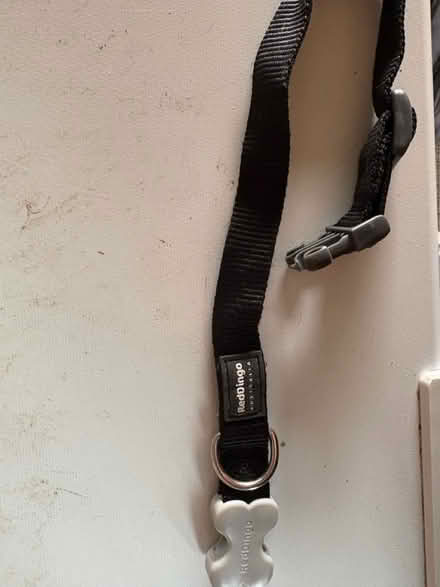 Photo of free Red Dingo medium dog collar - black (OX16 Cherwell heights) #2