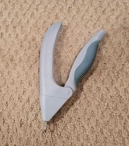 Photo of free Dog supplies (Hill East) #3