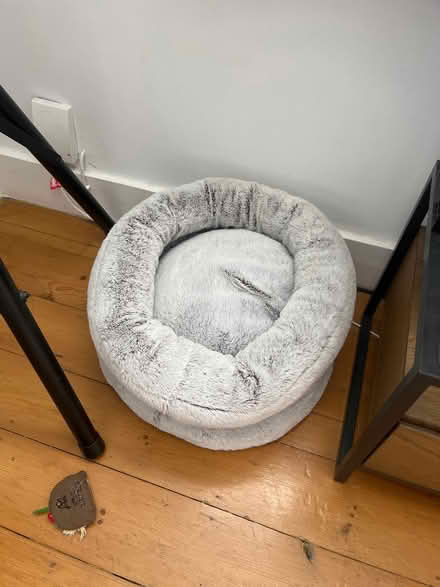 Photo of free Cat bed (TW2) #1