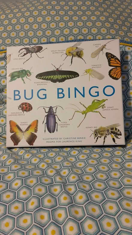 Photo of free Bug Bingo game (Weston) #1