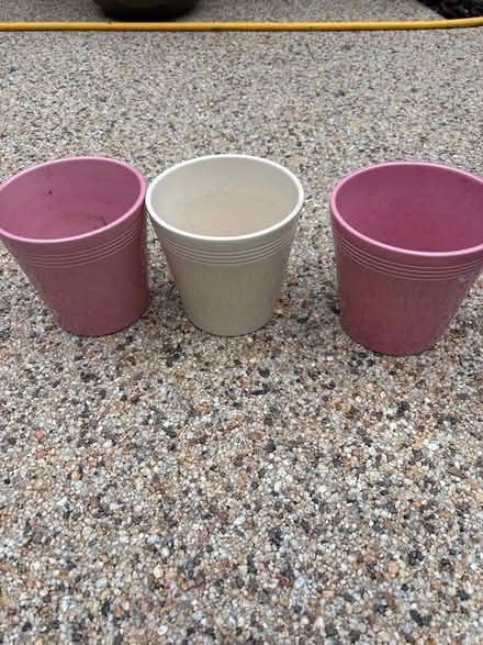 Photo of free Plant pot covers (Ashford, Surrey TW15) #1
