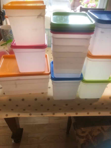 Photo of free Lots of freezer boxes HG2 (Harrogate HG2) #1