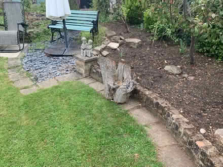 Photo of free Logs (Chingford London E4) #4