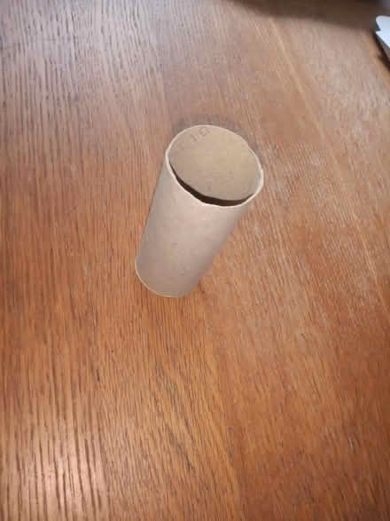 Photo of free 50 empty carton toilet rolls (Sheffield centre) #1