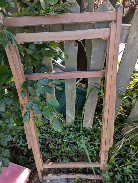 Photo of free Deck chair frame (Harrogate HG2) #1