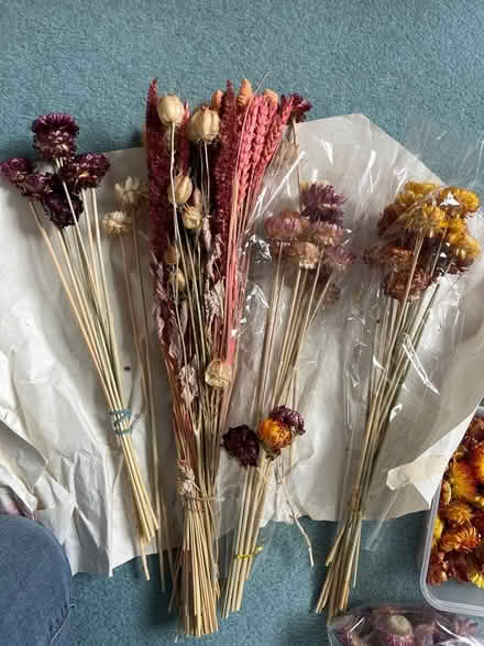 Photo of free Dried Flowers (Wokingham RG41) #2