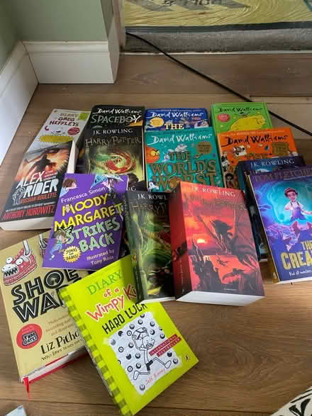 Photo of free Tween fiction books (Boldmere B73) #1