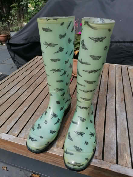 Photo of free Size 6 Wellies (South Tonbridge TN9) #1