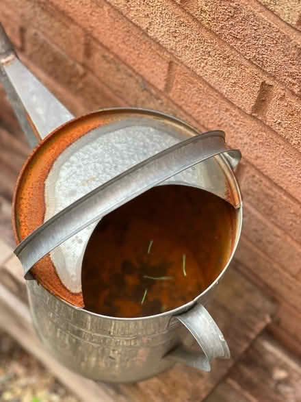 Photo of free Watering can (Emerson MK4) #2